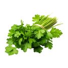 Cilantro fresco 100g
